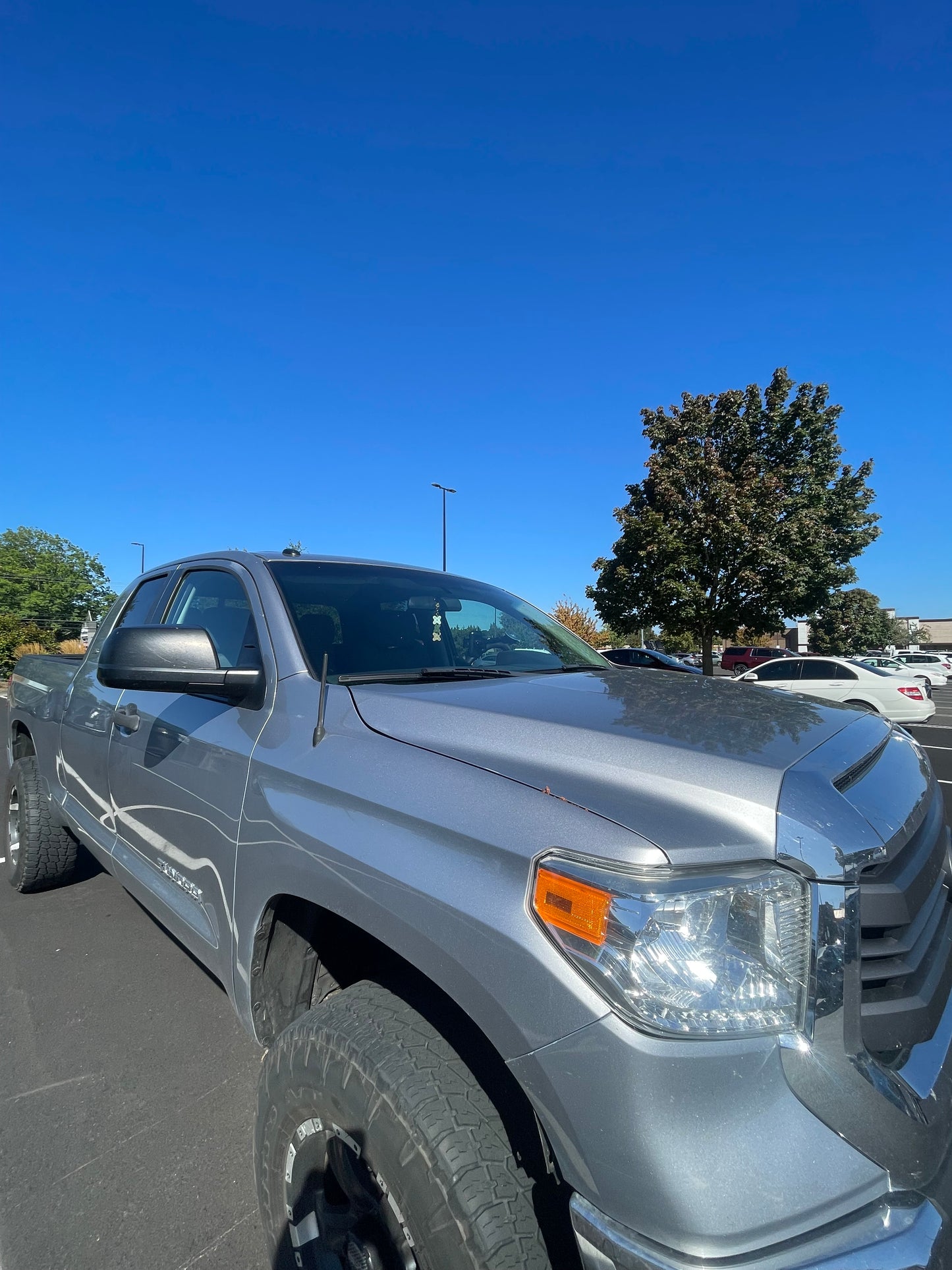 Lehua Quilt car charm
